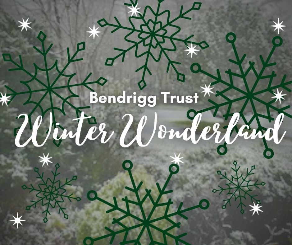 Disabled Friendly Christmas Event | Bendrigg Trust
