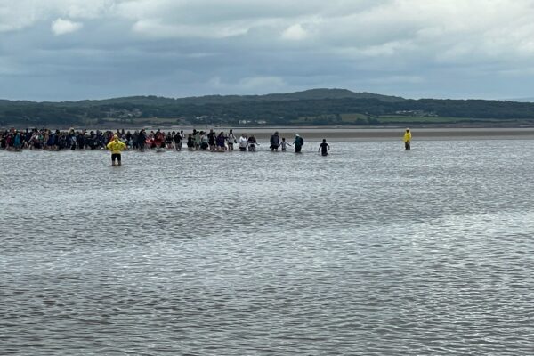 people walking through knee high water along the bay